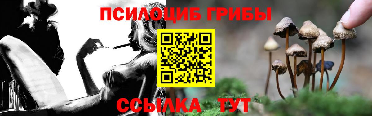 Галлюциногенные грибы прущие грибы  Псилоцибиновые грибы ЛСД  Ипатово  Вход с VPN 